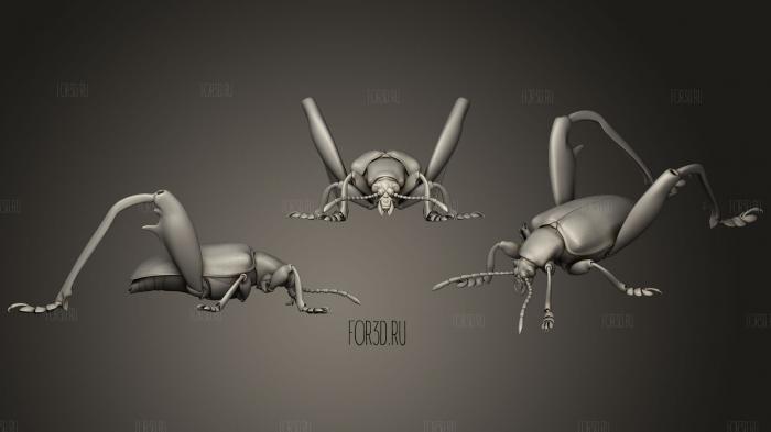 Жуки-насекомые 13 3d stl модель для ЧПУ